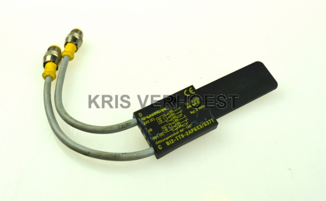 Turck Bi2-TT9-2AP6X3/S371 (NEW)