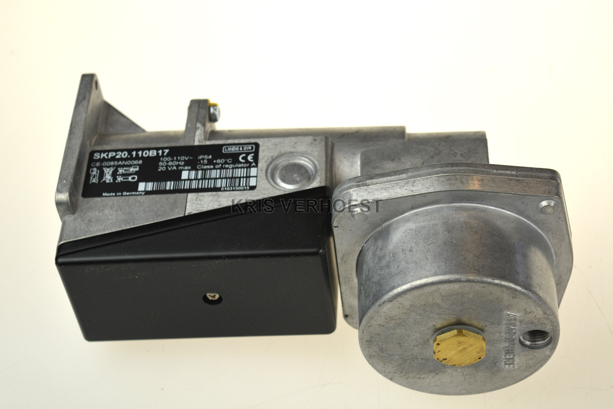 Landis & Gyr SKP20.110B17 (NEW)