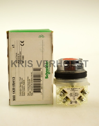 Schneider Electric 9001KR1RH13 (NEW)