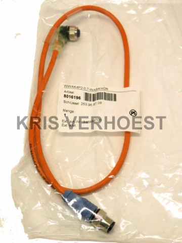 Turck 8016196 (NEW)