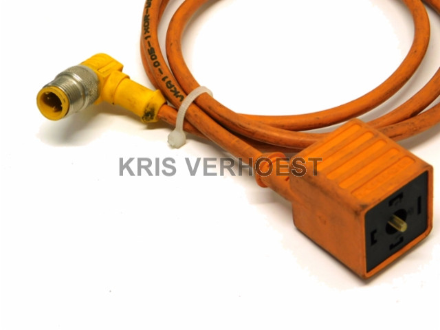 Turck VKA1-005-1XOR-WS4T/S412 (USED)