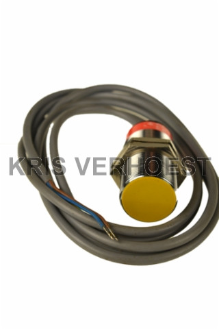 Turck 43164 (NEW)