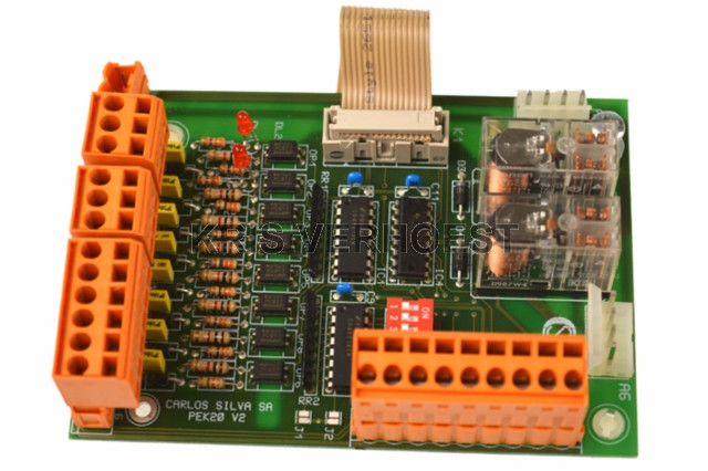 Carlos Silva 600100425 (NEW)