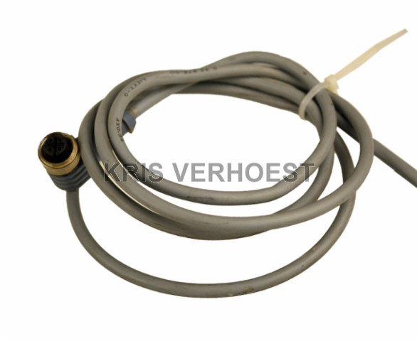 Turck 8007162 (USED)