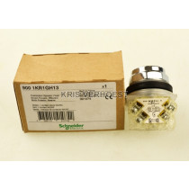 Schneider Electric 9001KR1GH13 (NEW)