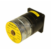 Berger Lahr RSM63/10FDG230-150 (NEW)
