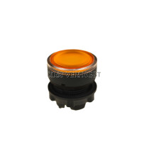 Schneider Electric 090998 (NEW)
