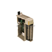 Allen-Bradley 1769-OF2 (USED)