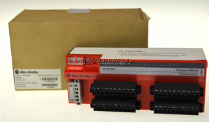 Allen-Bradley 1791DS-IB12 (NEW)
