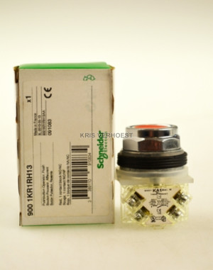 Schneider Electric 9001KR1RH13 (USED)