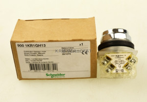 Schneider Electric 9001KR1GH13 (NEW)