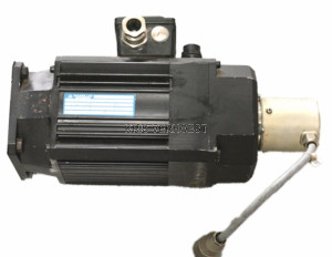 Baumuller IP64/65 VDE0530 (NEW)