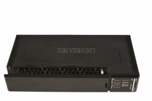 GE FANUC IC655ALG516A (NEW)