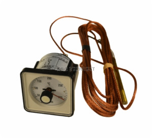 Wika 6047241 (USED)
