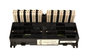 Fanuc IC670CHS002E (NEW)